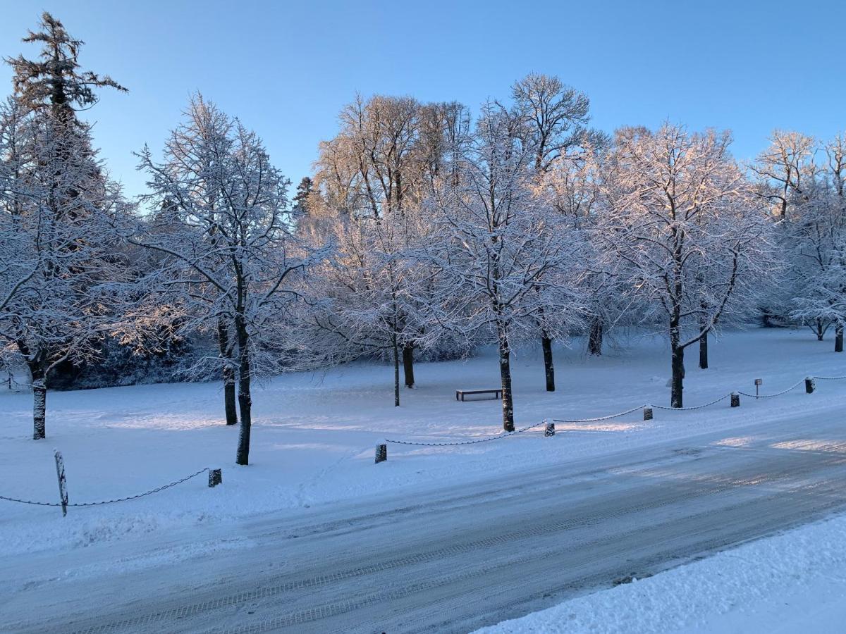 Parkhotel Putbus - Renoviert Seit Februar 2025 Eksteriør bilde